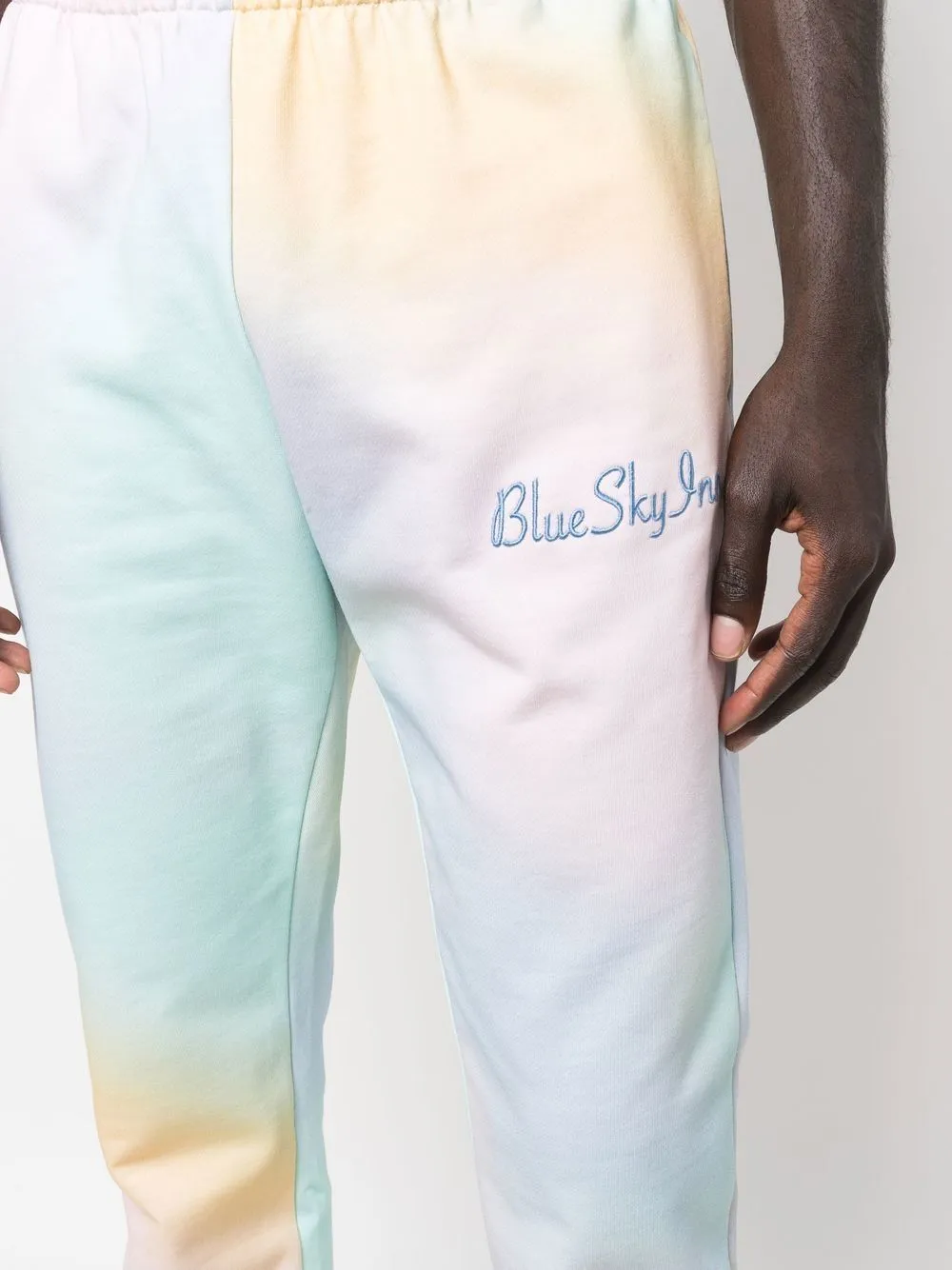 BLUE SKY INN Trousers MultiColour