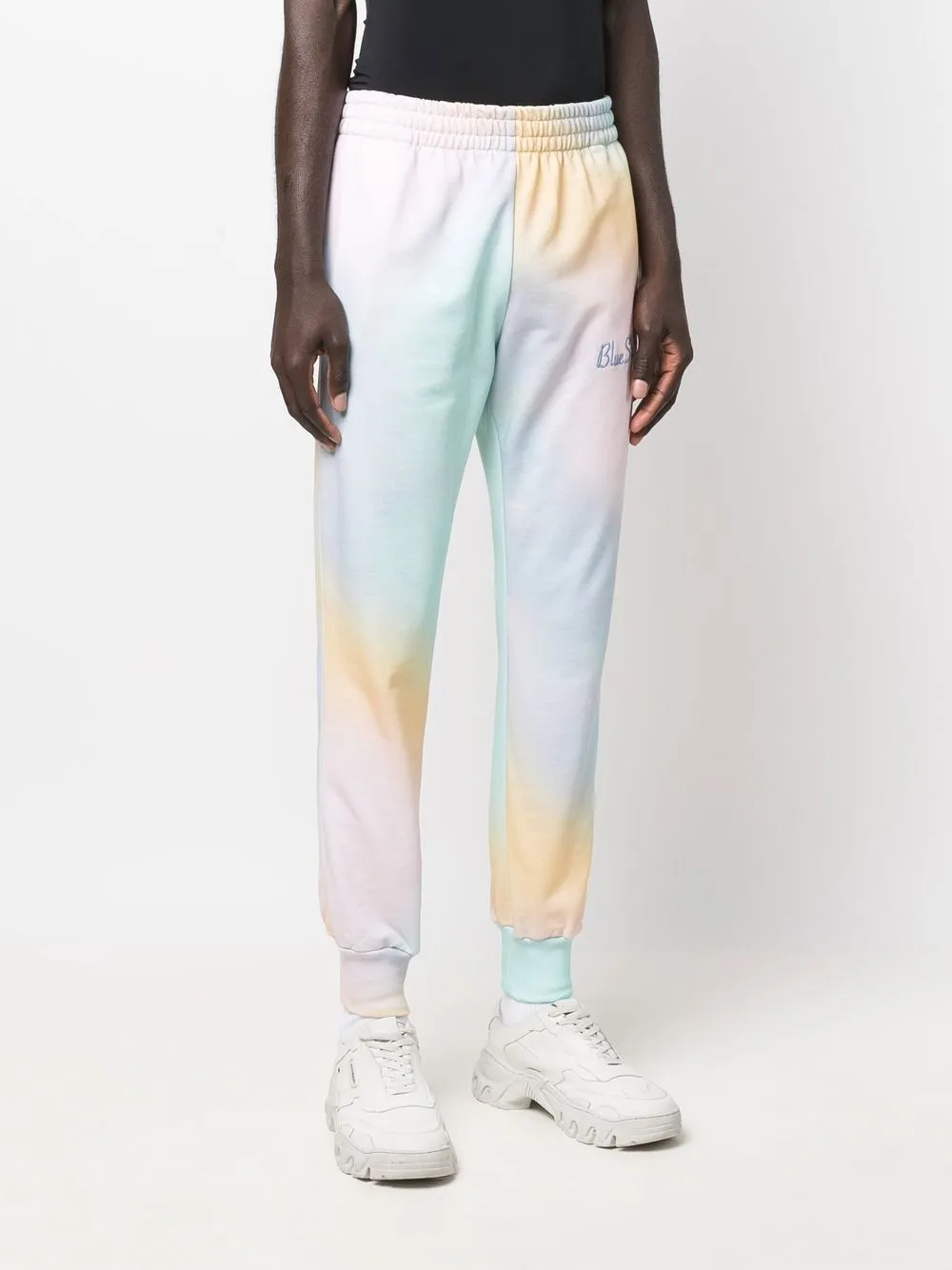 BLUE SKY INN Trousers MultiColour