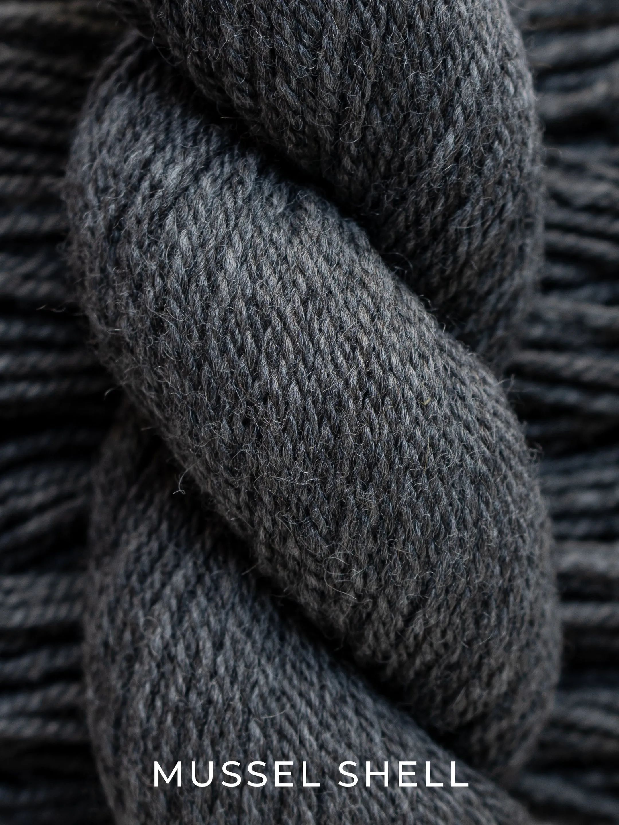 Kent Aran <br><small>merino & romney</small>