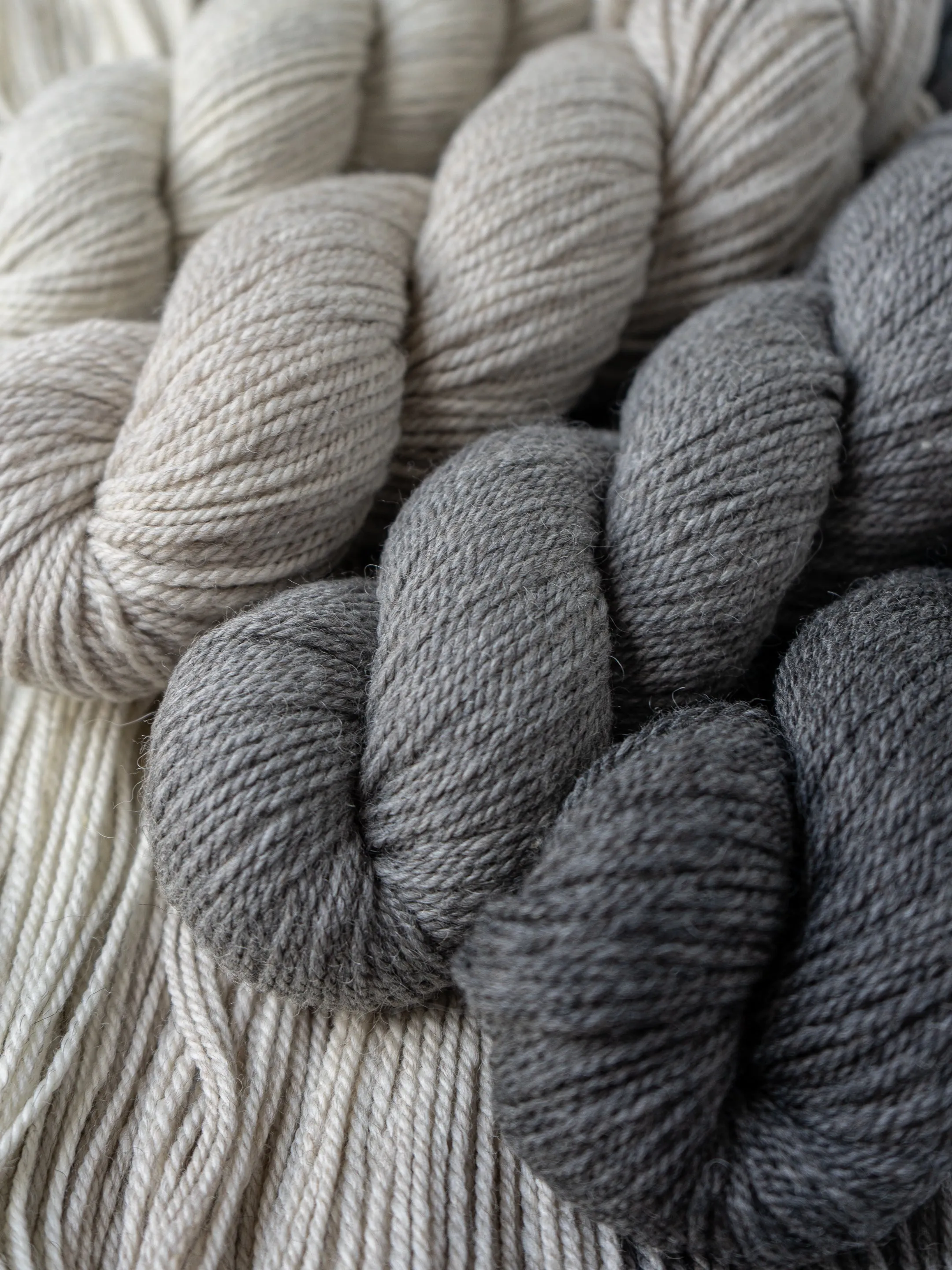 Kent Aran <br><small>merino & romney</small>