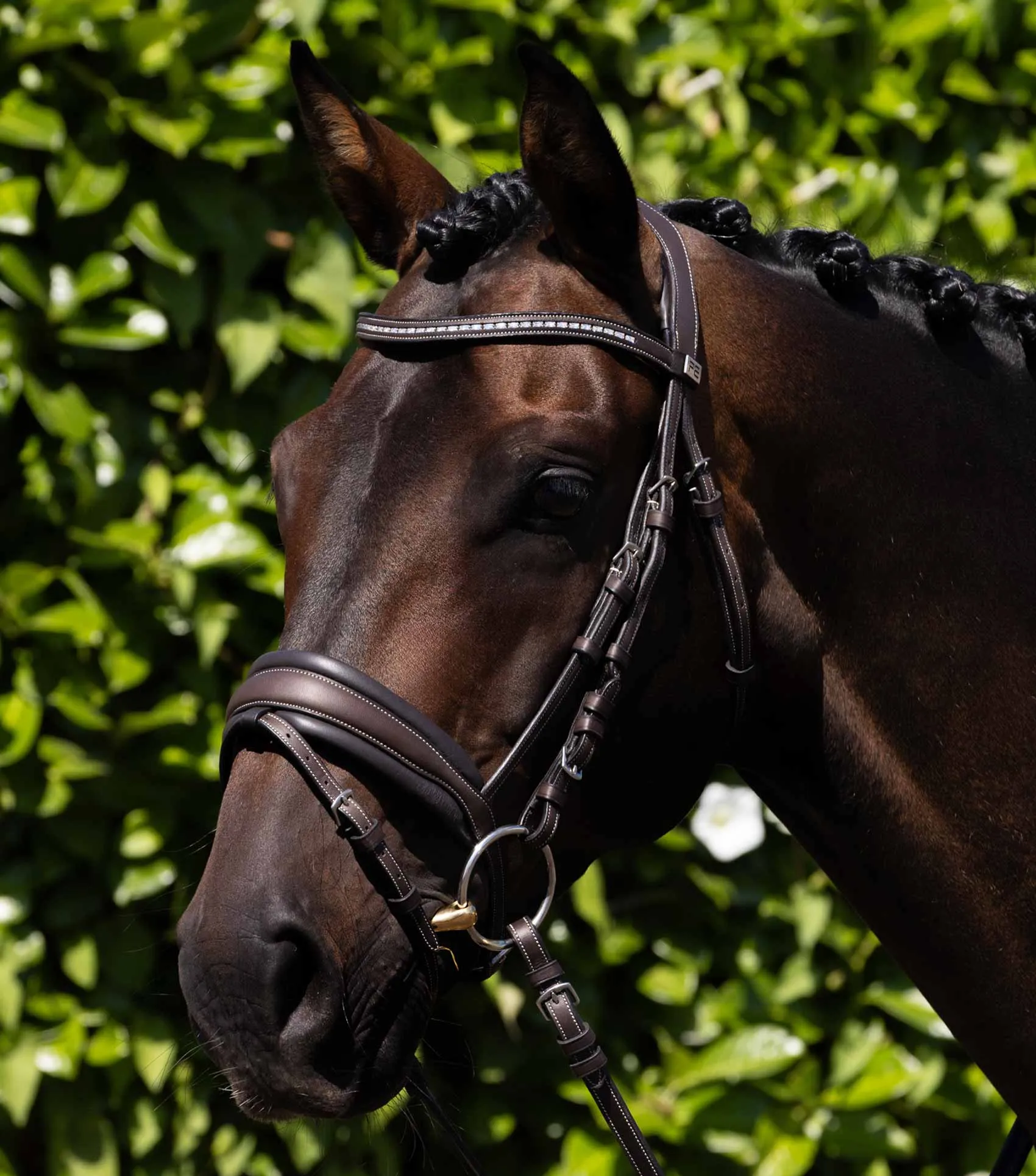 Veneto Anatomical Snaffle Bridle Brown